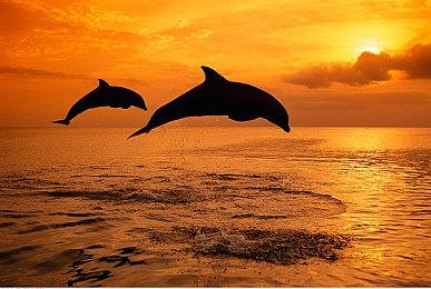 《博德之门3》新补丁因BUG回滚 部分存档暂不可用