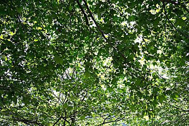 4X回合制战略游戏《莫德菲尔德指挥部》现已开启测试 2025年第一季度推出